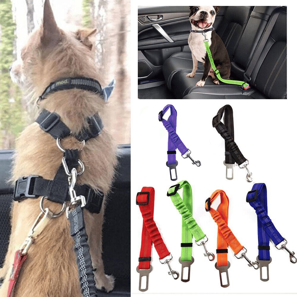 Reflective & Adjustable Dog Leash