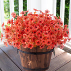 Potted plant with coral-colored flowers on a wooden deck