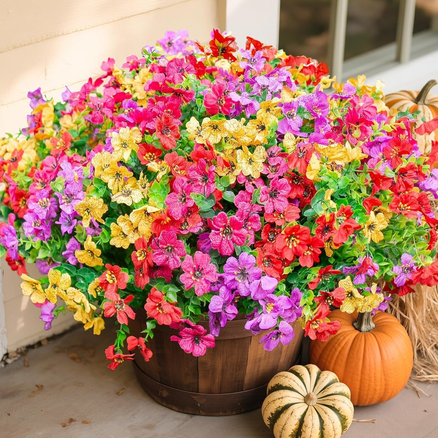 Colorful potted flowers with pumpkins on a neutral background