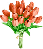 Bouquet of orange tulips with green stems on a white background