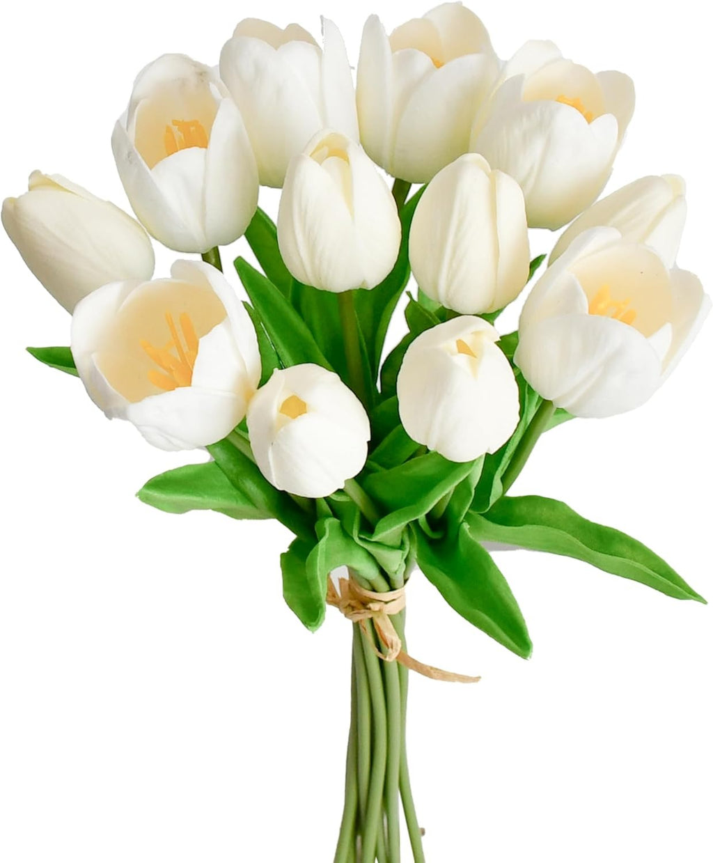 Bouquet of white tulips with green stems on a white background