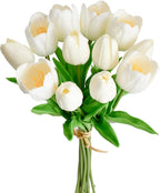Bouquet of white tulips with green stems on a white background