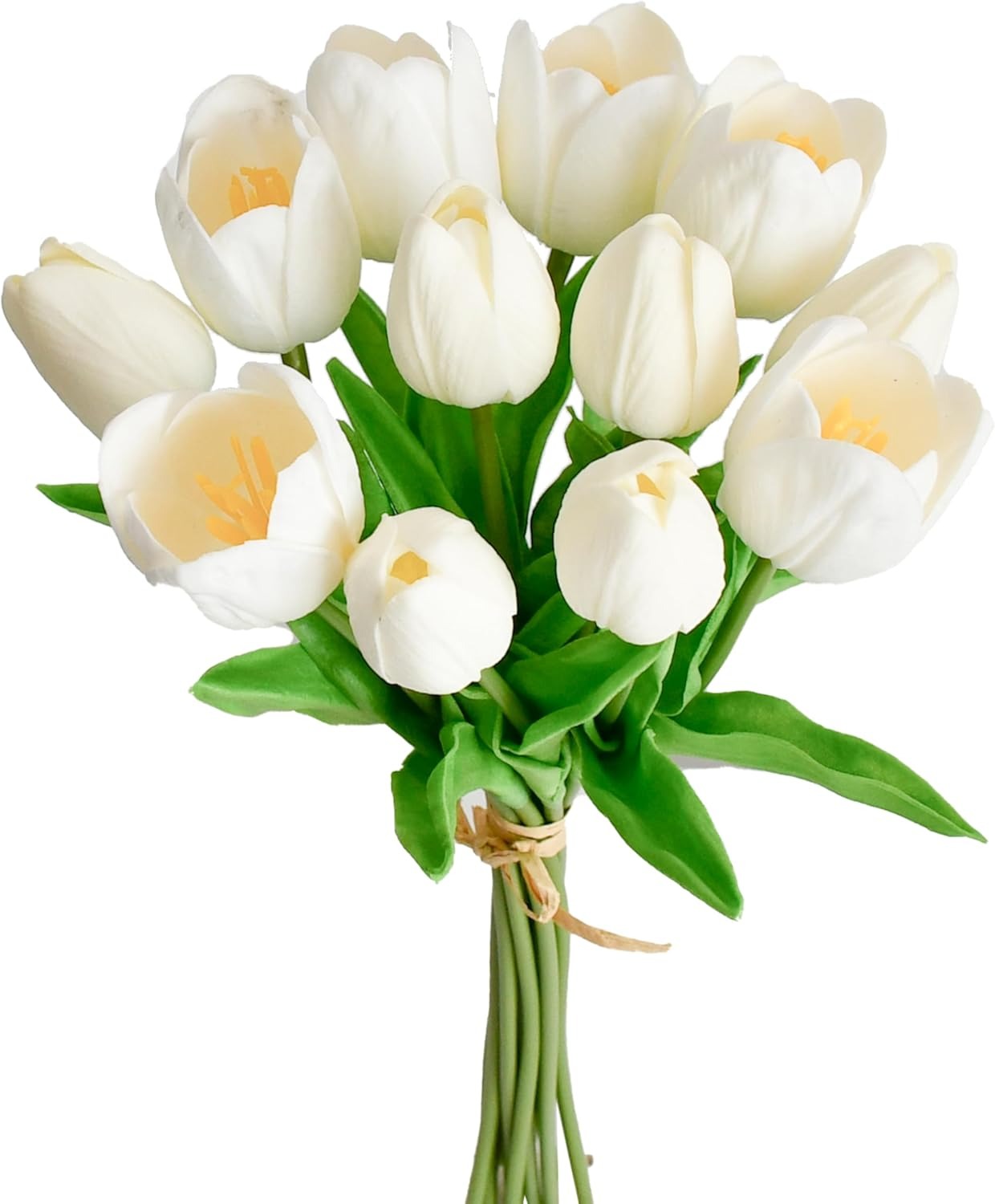 Bouquet of white tulips with green stems on a white background