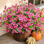 Potted plant with pink flowers and pumpkins on a surface