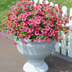 White urn planter with pink flowers on a wooden deck