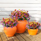 Three orange planters filled with colorful flowers on a wooden deck.