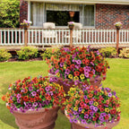 Colorful flower pots in front of a brick house with a white porch.