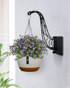 Wall-mounted plant holder with a hanging planter on a light gray wall.