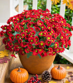 Potted red flower arrangement with pumpkins and berries on a wooden surface