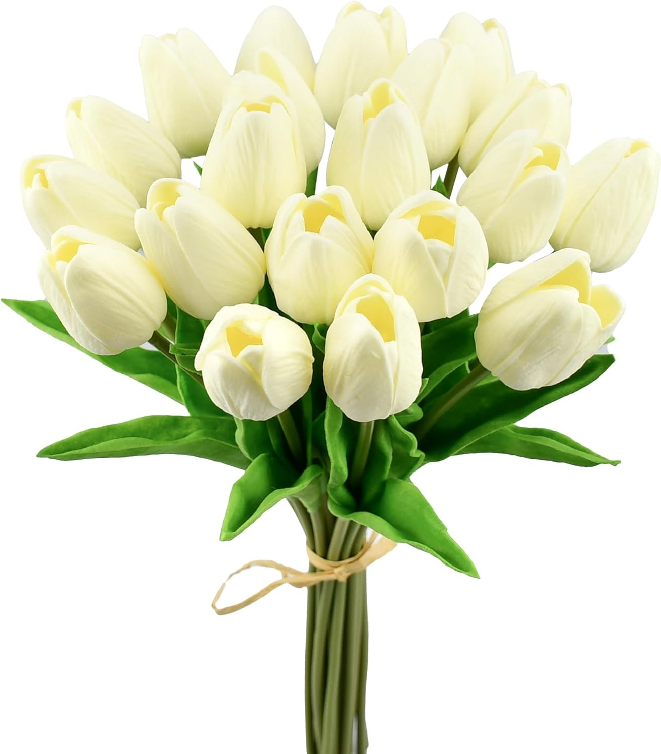 Bouquet of white tulips with green stems on a white background