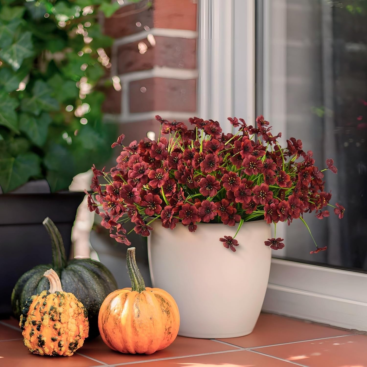 Potted plant with red flowers and pumpkins on a windowsill