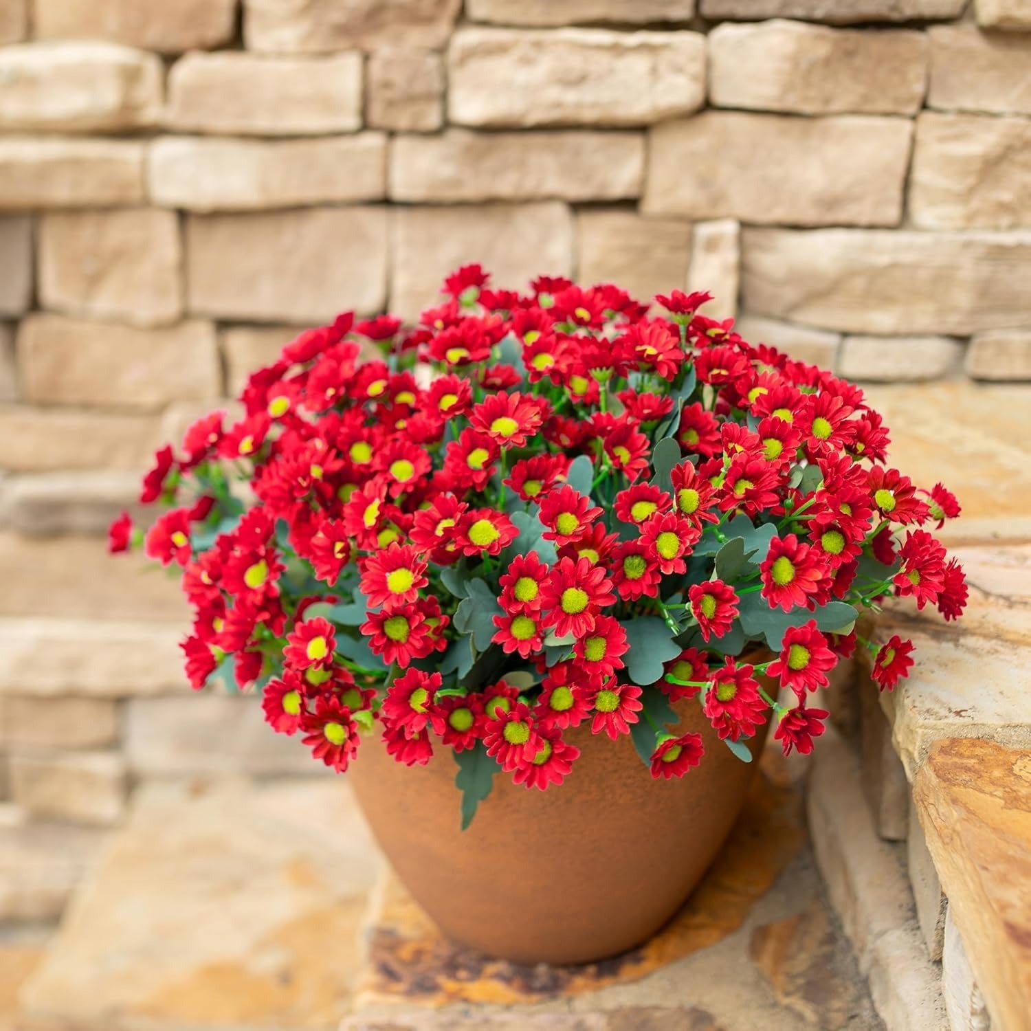 Potted red flowering plant against a stone wall background