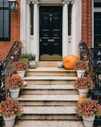 Decorative pumpkins and potted plants on a staircase leading to a black door.