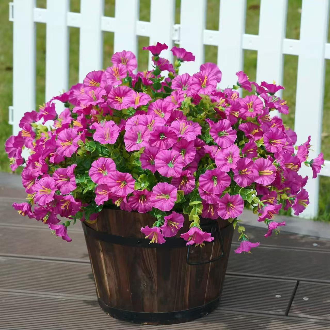 Fake Silk Colorful Morning Glory