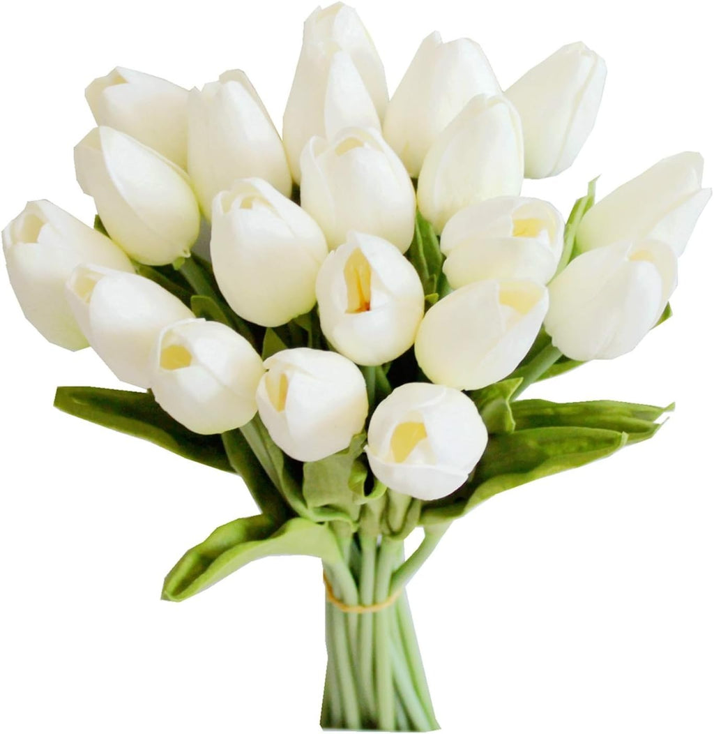 Bouquet of white tulips on a white background