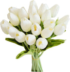 Bouquet of white tulips on a white background