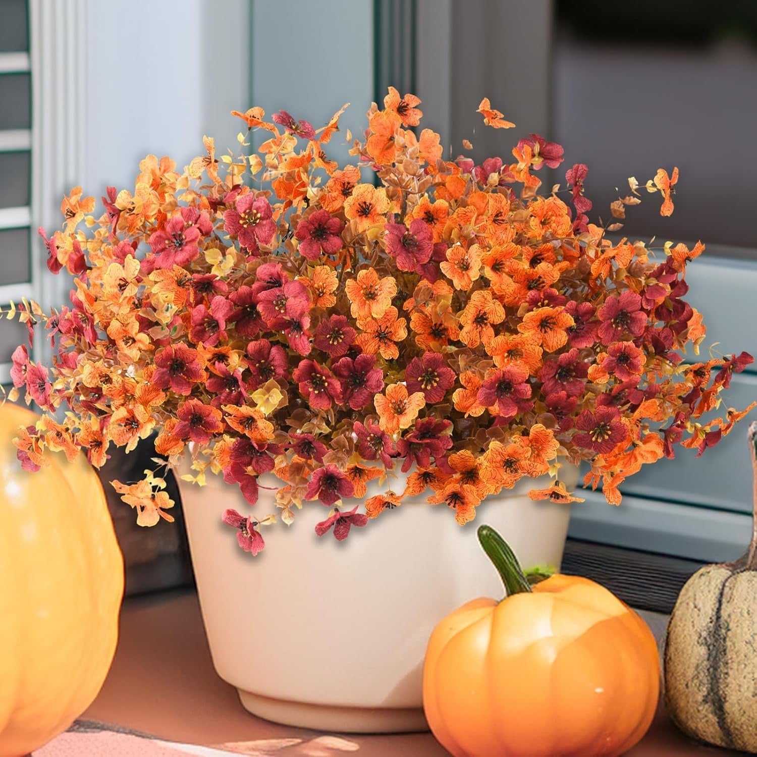 Potted plant with autumn-colored flowers and pumpkins on a table