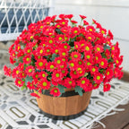 Potted plant with red flowers and green centers on a white surface