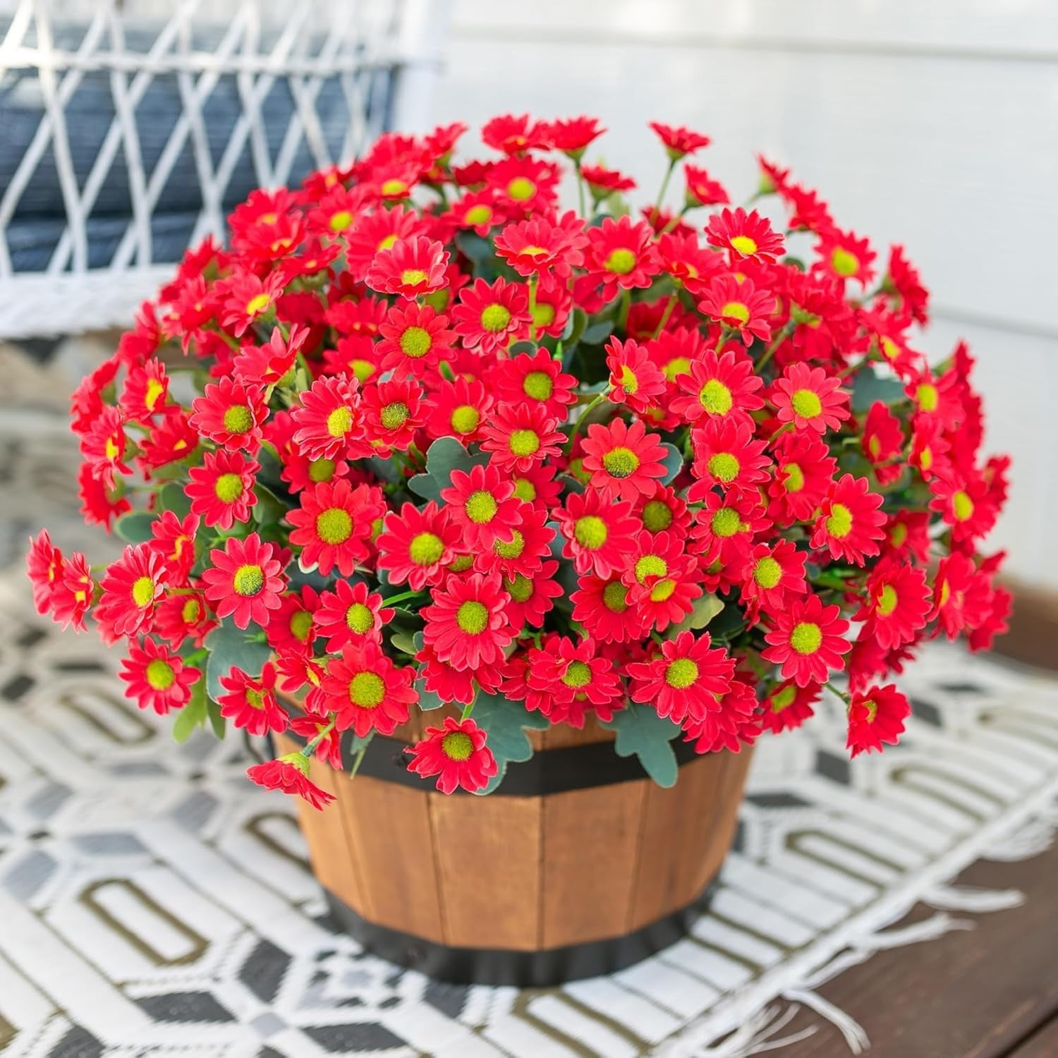 Potted plant with red flowers and green centers on a white surface