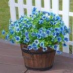 Potted plant with blue flowers on a wooden deck