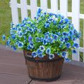 Potted plant with blue flowers on a wooden deck