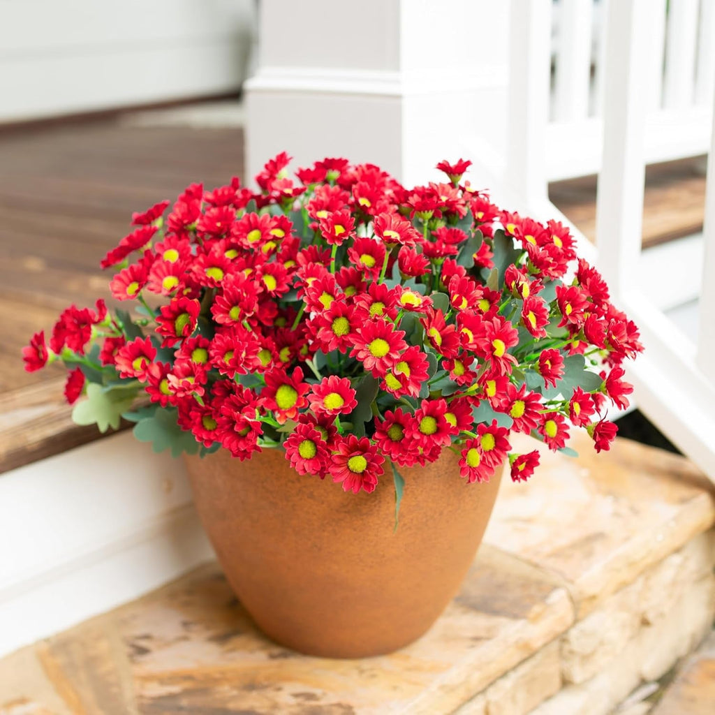 Potted plant with red flowers on a wooden surface