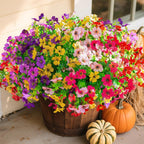 Colorful potted flowers with pumpkins on a neutral background
