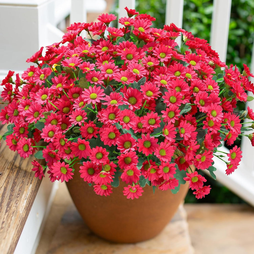 Potted plant with bright pink flowers on a wooden surface