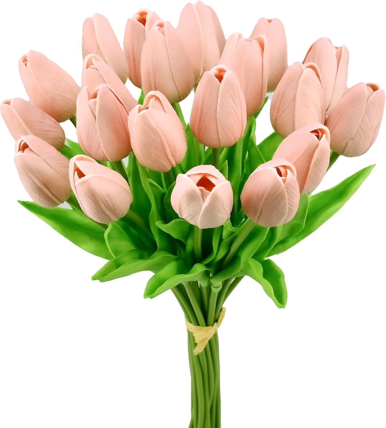 Bouquet of pink tulips with green stems on a white background