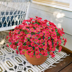 Potted plant with red flowers on a wooden surface