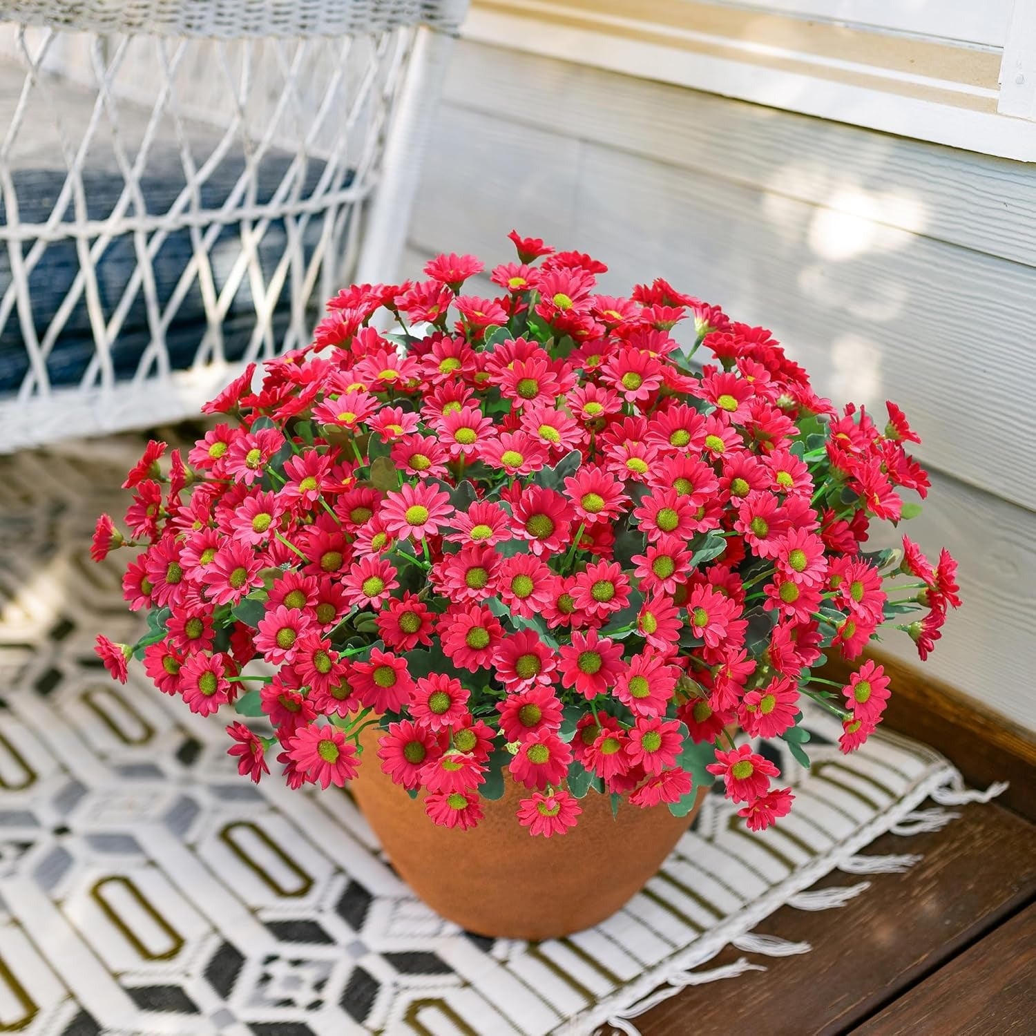 Potted plant with red flowers on a wooden surface