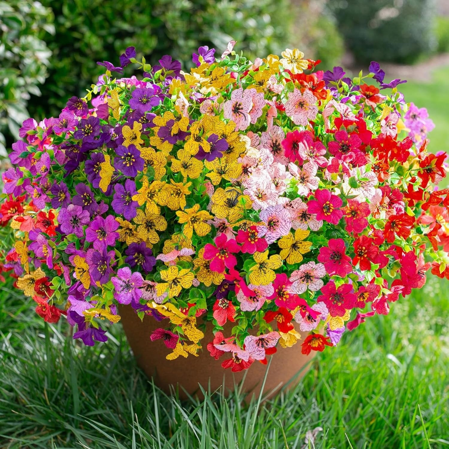 Potted plant with multicolored flowers on a grassy background