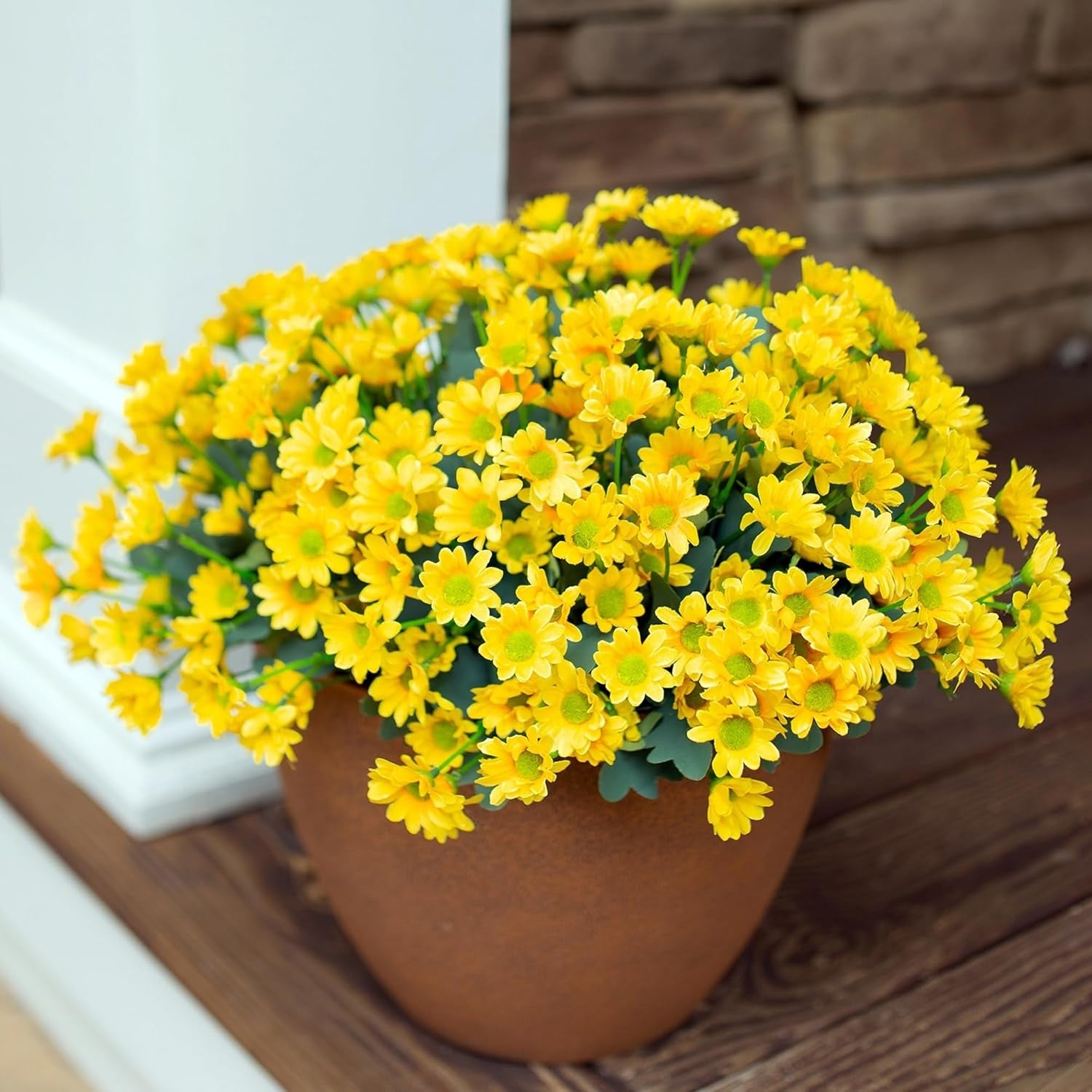 Potted plant with yellow flowers on a wooden surface