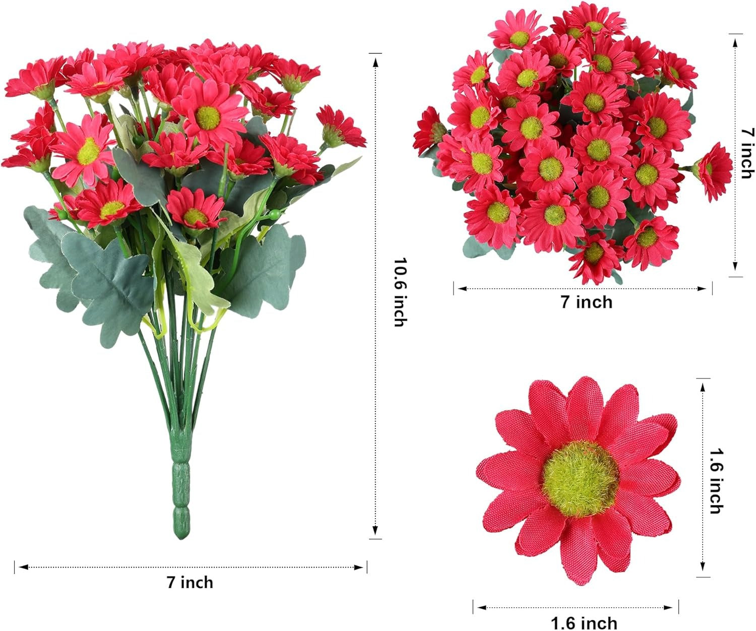 Bouquet of red flowers with measurements on a white background