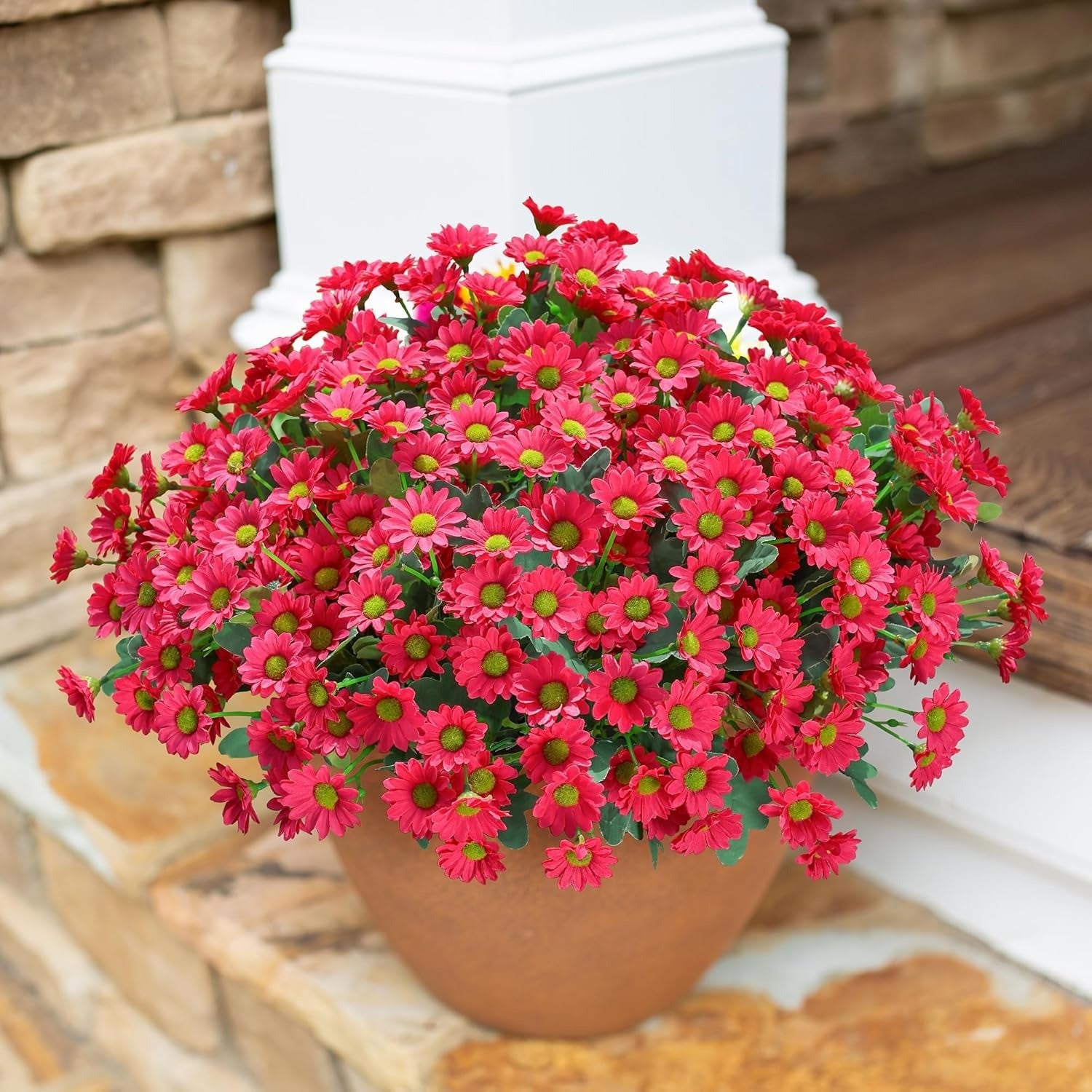 Potted plant with red flowers on a wooden surface