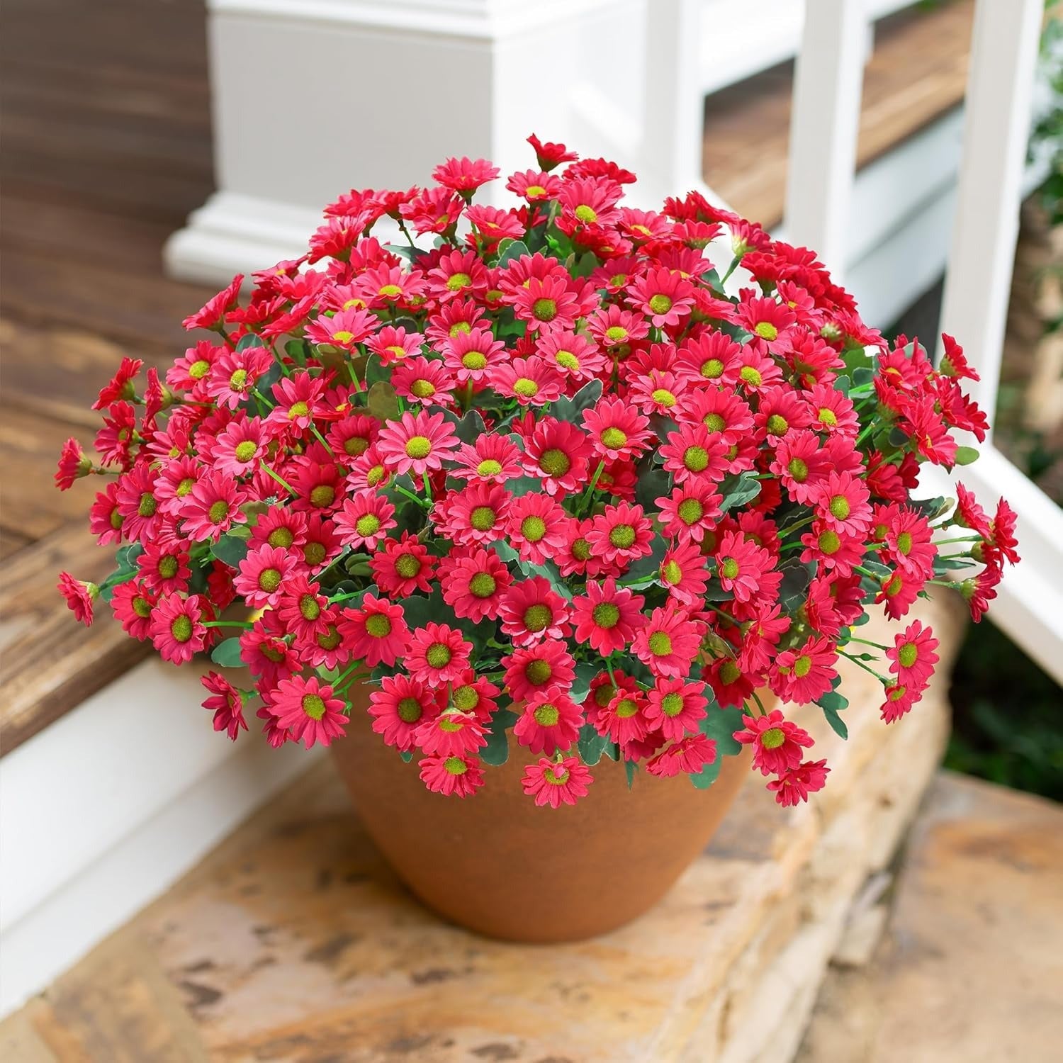 Potted plant with red flowers on a wooden surface