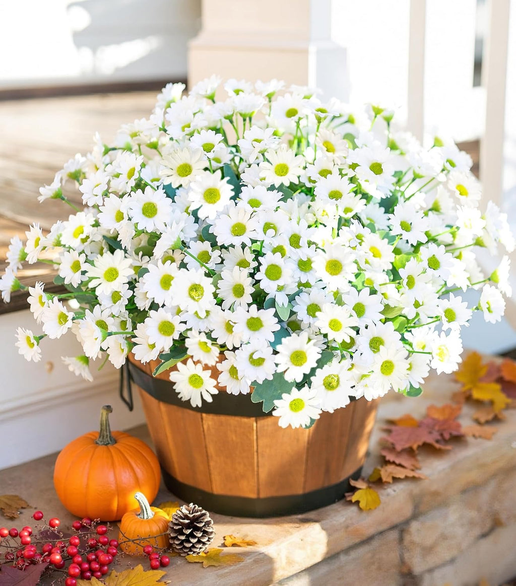 Potted plant with white flowers on a windowsill with autumn decorations.