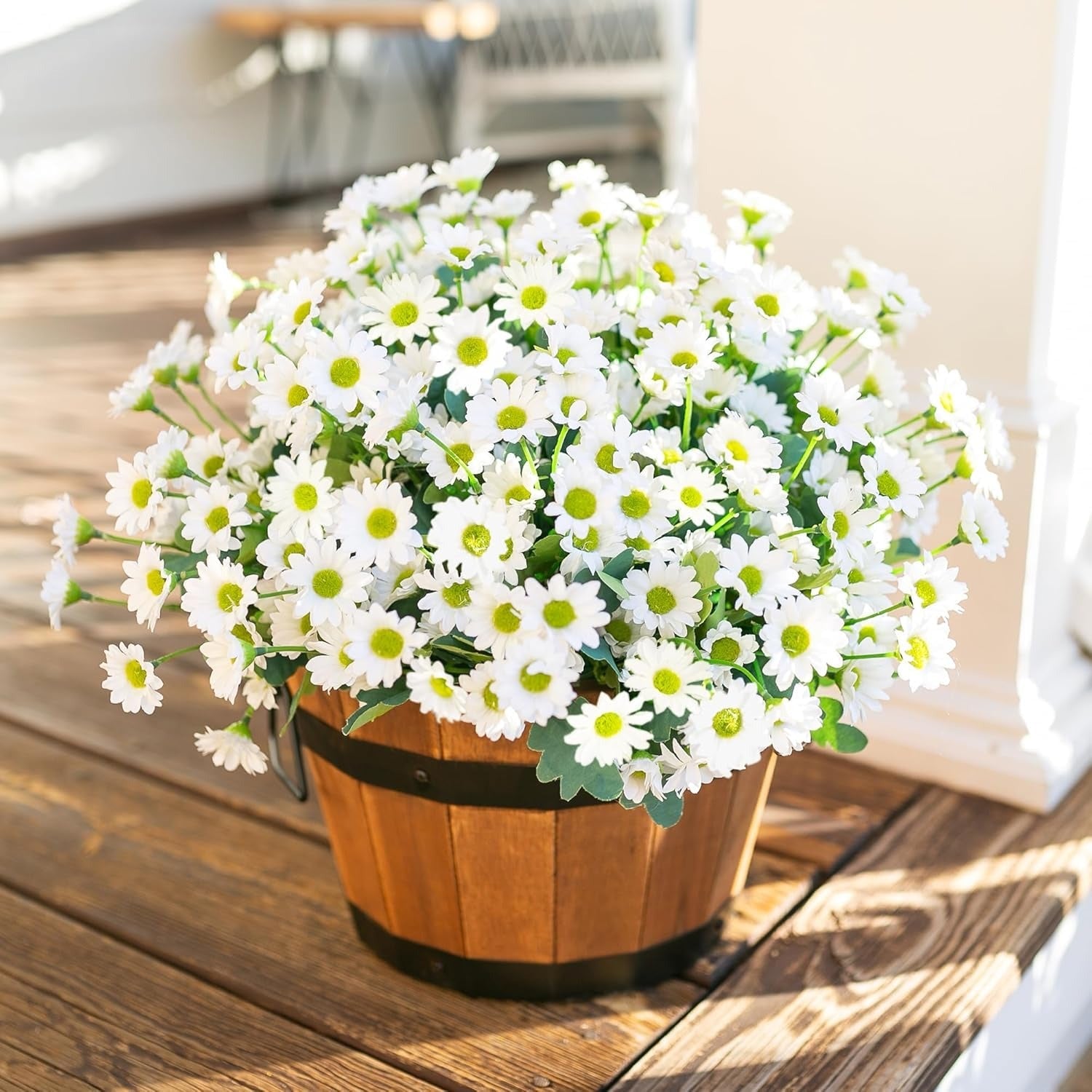 Potted plant with white flowers on a wooden surface