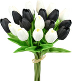Bouquet of black and white tulips on a white background