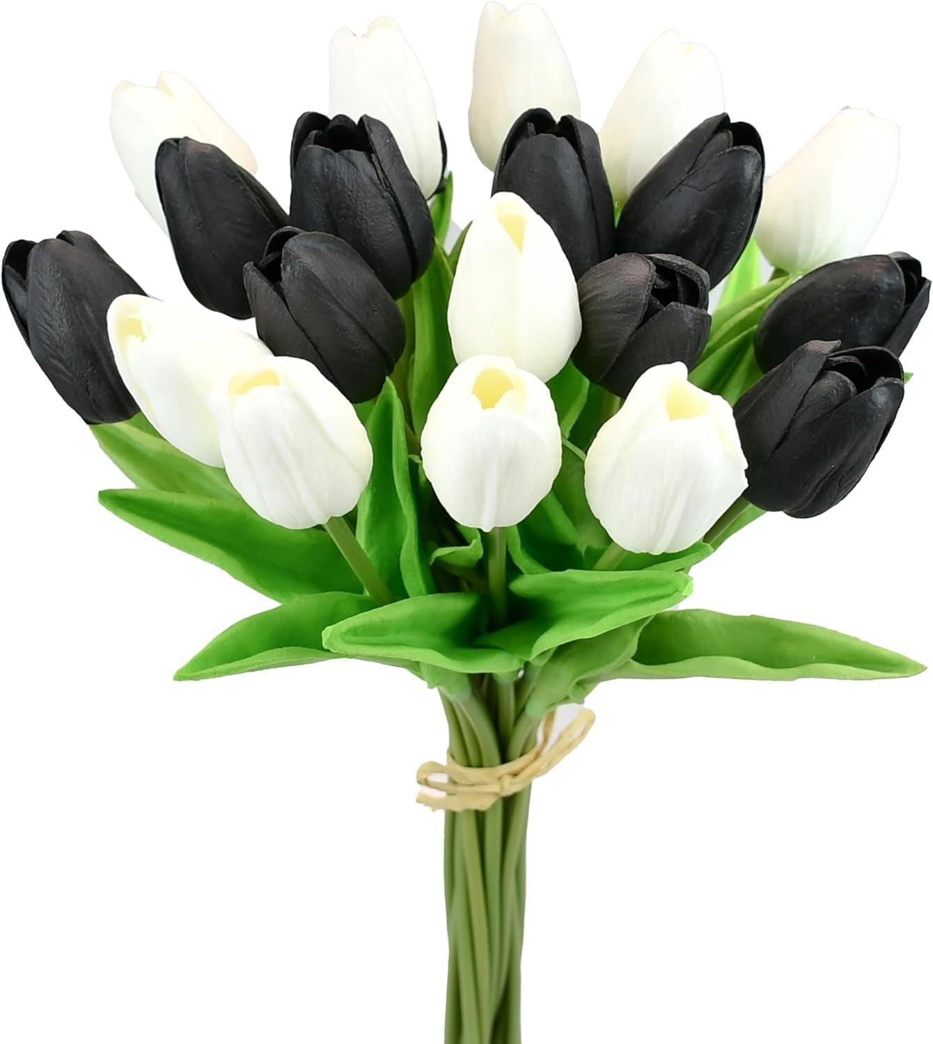 Bouquet of black and white tulips on a white background