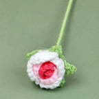 Crocheted flower with white petals and a red center on a green background