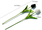 Two tulips, one black and one white, with measurements indicated on a white background.