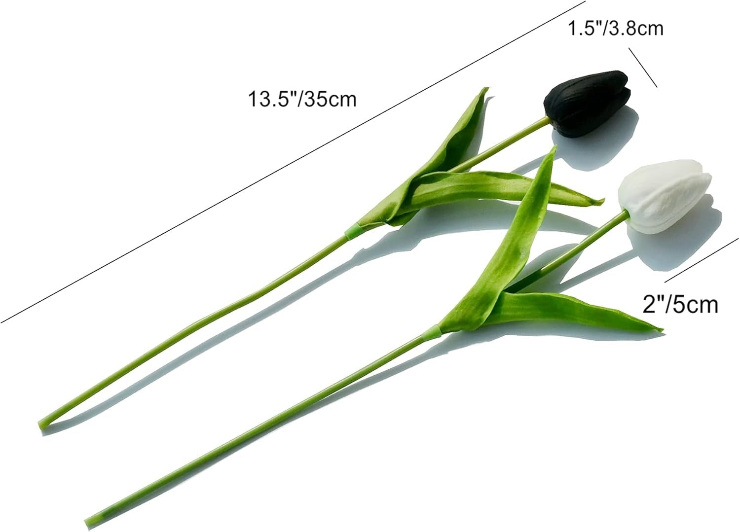 Two tulips, one black and one white, with measurements indicated on a white background.