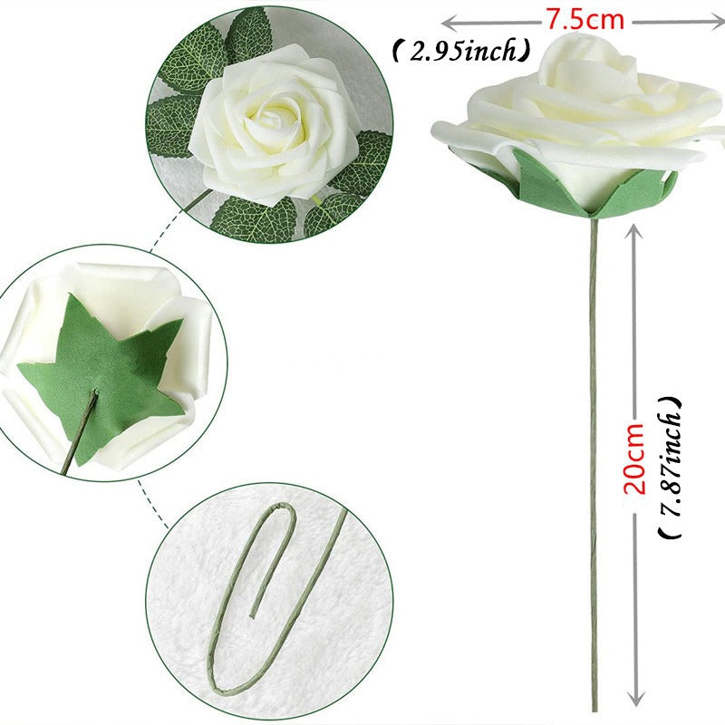 White rose with green leaves and measurements on a white background