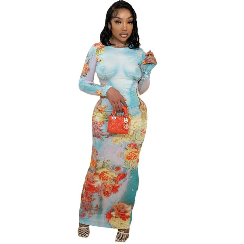 Fashion printed round neck pullover long sleeve hip long skirt street style casual dress for women