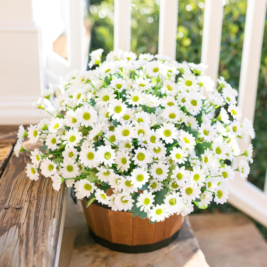 Potted plant with white flowers on a wooden surface