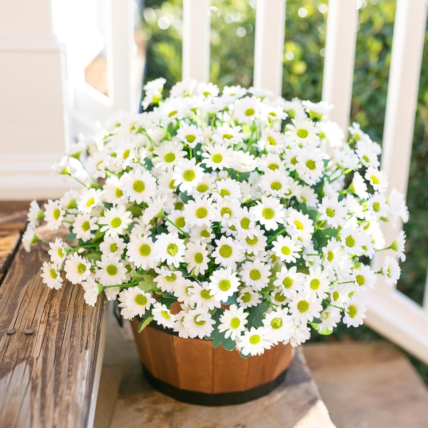 Potted plant with white flowers on a wooden surface