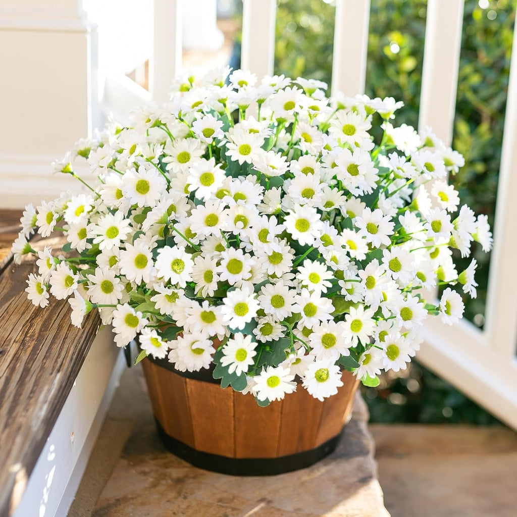 Potted plant with white flowers on a wooden surface