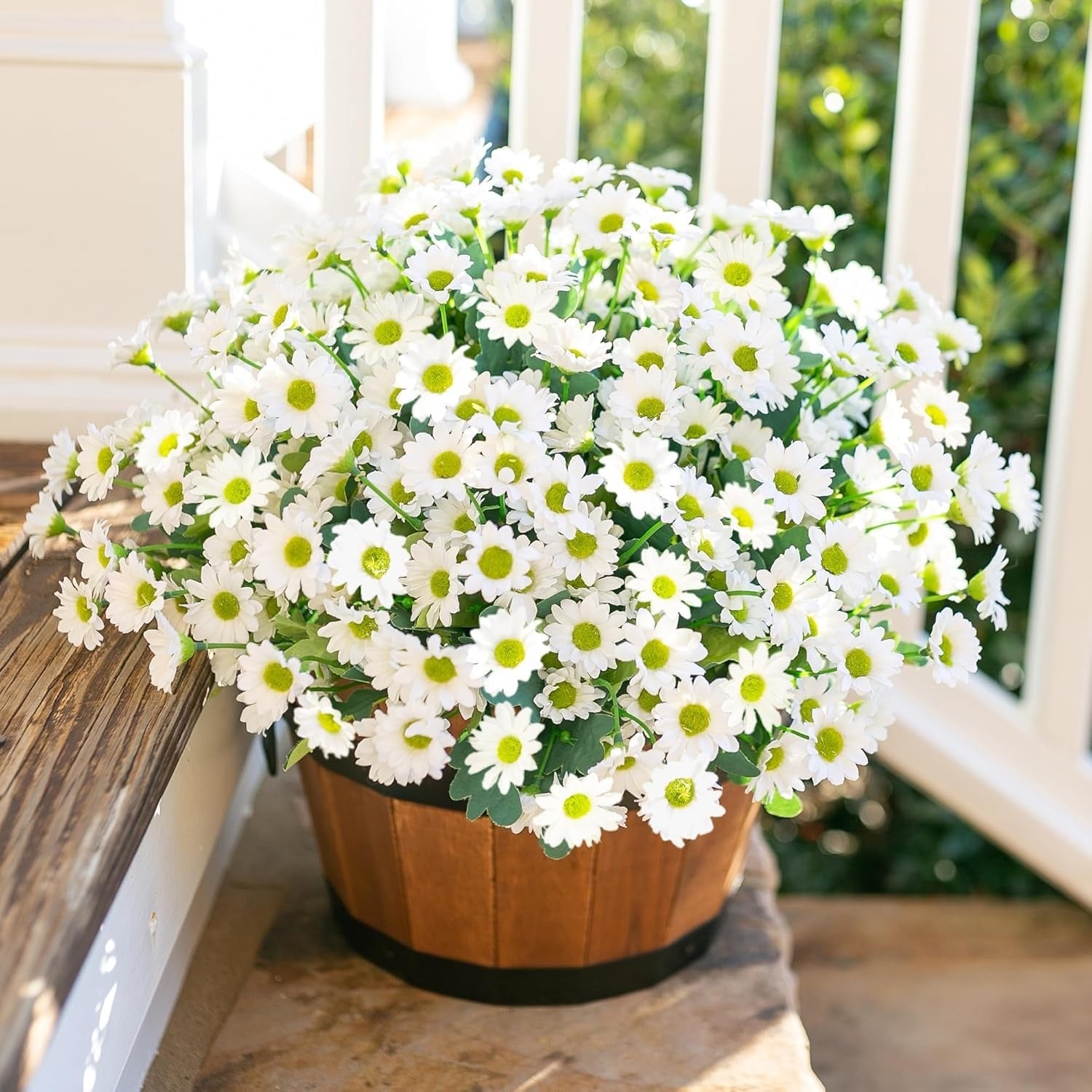 Potted plant with white flowers on a wooden surface