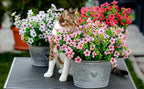 Cat sitting among potted flowers on a table outdoors